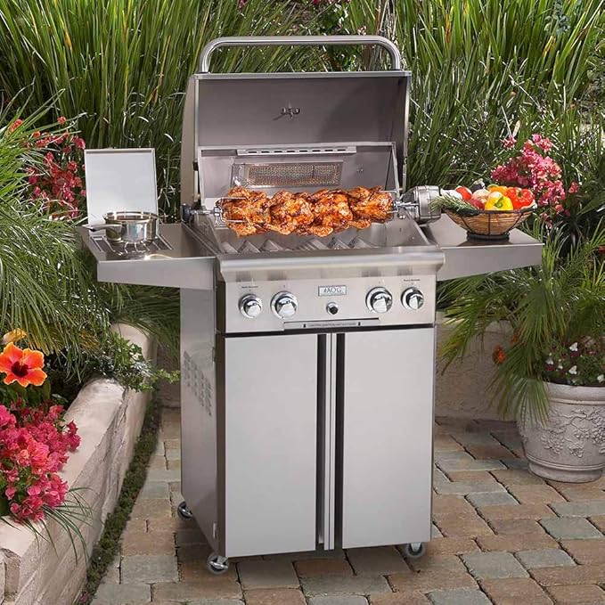 American Outdoor Grill L-Series 24" Portable Gas Grill