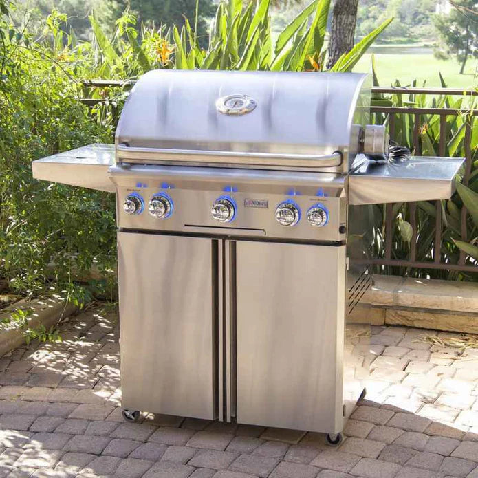 American Outdoor Grill L-Series 30" Portable Gas Grill